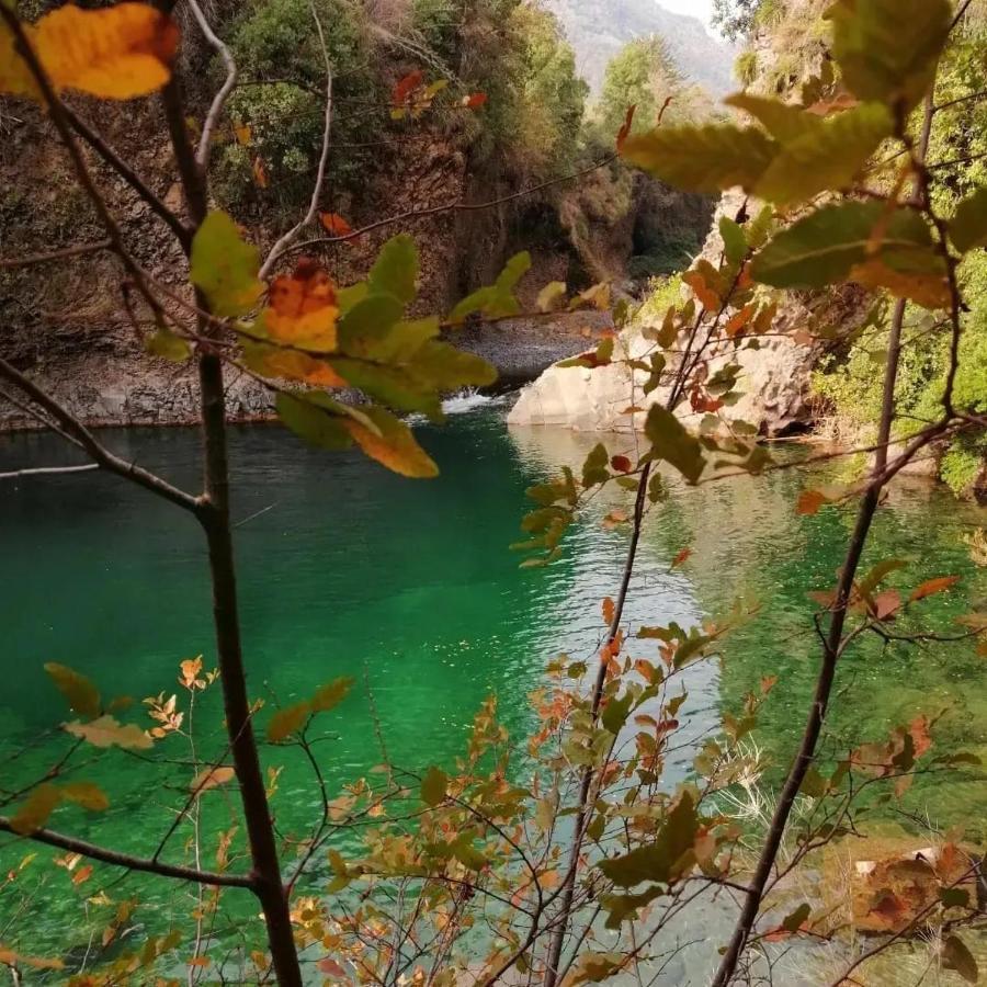 Refugio Del Salto -Radal 7 Tazas Villa Molina  Luaran gambar