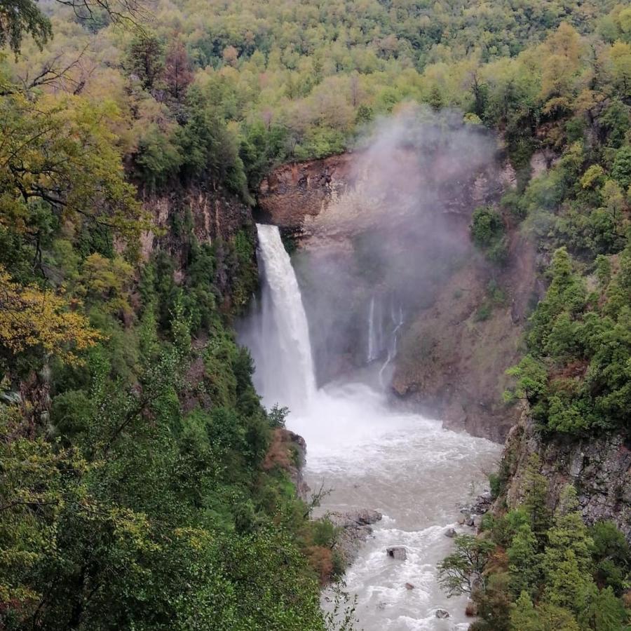 Refugio Del Salto -Radal 7 Tazas Villa Molina  Luaran gambar