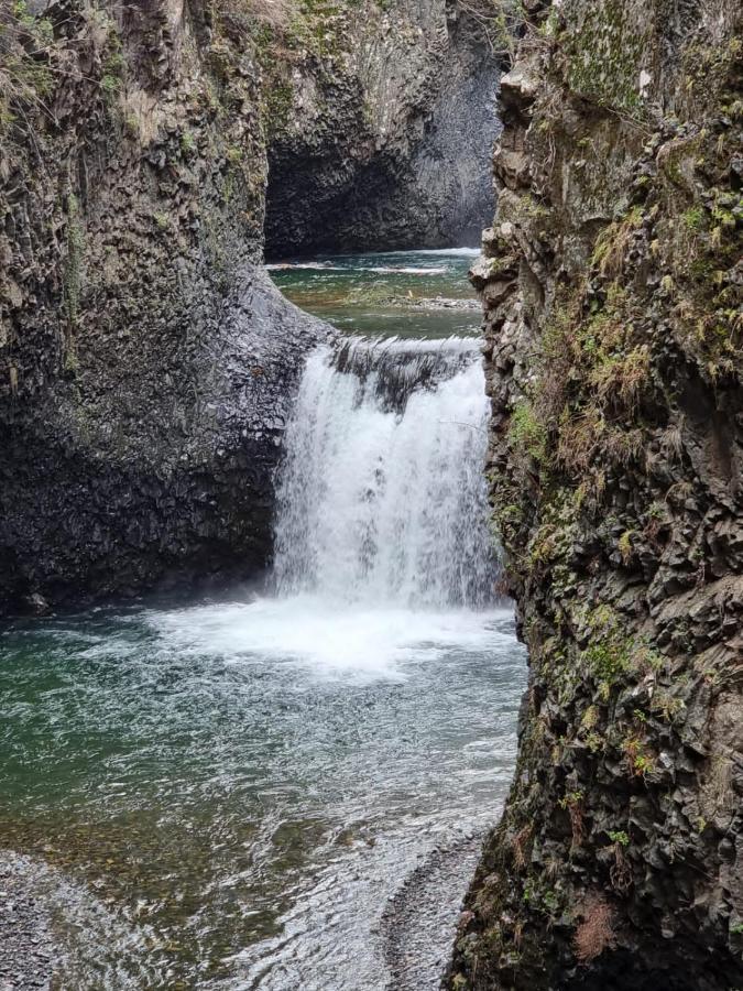 Refugio Del Salto -Radal 7 Tazas Villa Molina  Luaran gambar